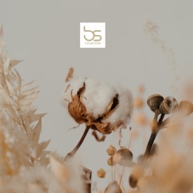 bs collection 2 Ζευγάρια Λεπτές Ελαστικές Βαμβακερές Κάλτσες Χωρίς Λάστιχο Γκρι 36-40 - Κάλτσες στο  bscollection