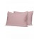 Σετ Σεντόνια Cotton Feelings 115 Rotten Apple King Size (260x270) King Size (260x270) Sunshinehome - Σεντόνια στο  bscollection